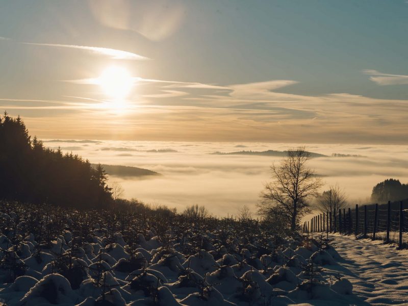 2022-01-15-sonnenuntergang-buchhagen-064-2